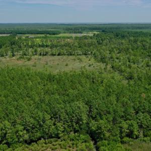 Photo #9 of SOLD property in Off Hwy 33, Hobucken, NC 28.6 acres
