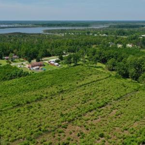 Photo #10 of SOLD property in Off Hwy 33, Hobucken, NC 28.6 acres
