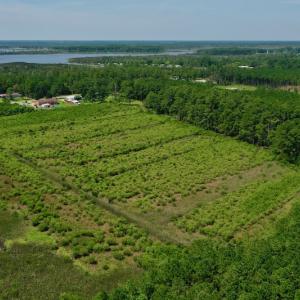 Photo #11 of SOLD property in Off Hwy 33, Hobucken, NC 28.6 acres