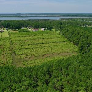 Photo #12 of SOLD property in Off Hwy 33, Hobucken, NC 28.6 acres