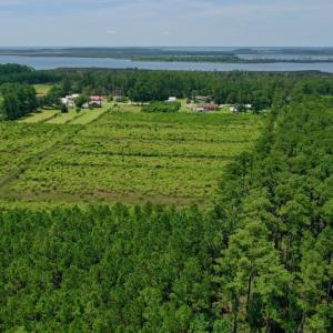 Photo #13 of SOLD property in Off Hwy 33, Hobucken, NC 28.6 acres
