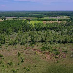 Photo #14 of SOLD property in Off Hwy 33, Hobucken, NC 28.6 acres