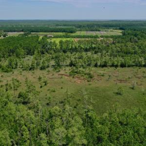Photo #15 of SOLD property in Off Hwy 33, Hobucken, NC 28.6 acres