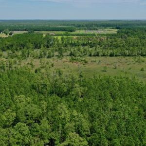 Photo #16 of SOLD property in Off Hwy 33, Hobucken, NC 28.6 acres