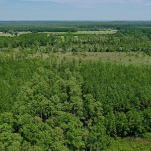 Photo #17 of SOLD property in Off Hwy 33, Hobucken, NC 28.6 acres