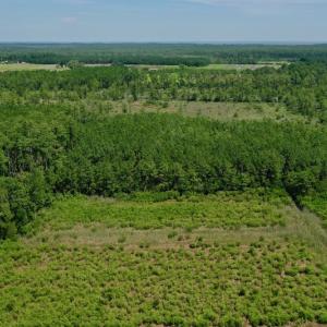 Photo #18 of SOLD property in Off Hwy 33, Hobucken, NC 28.6 acres