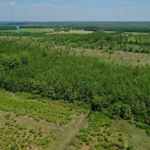 Photo #19 of SOLD property in Off Hwy 33, Hobucken, NC 28.6 acres