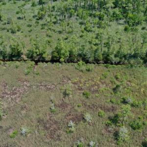 Photo #20 of SOLD property in Off Hwy 33, Hobucken, NC 28.6 acres