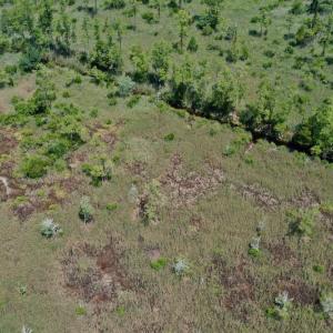 Photo #21 of SOLD property in Off Hwy 33, Hobucken, NC 28.6 acres