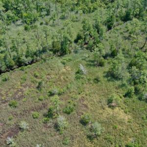 Photo #22 of SOLD property in Off Hwy 33, Hobucken, NC 28.6 acres