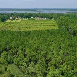 Photo #23 of SOLD property in Off Hwy 33, Hobucken, NC 28.6 acres