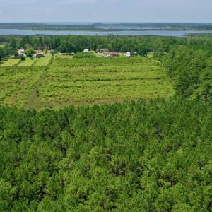 Photo #24 of SOLD property in Off Hwy 33, Hobucken, NC 28.6 acres