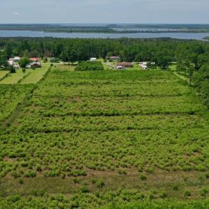 Photo #25 of SOLD property in Off Hwy 33, Hobucken, NC 28.6 acres