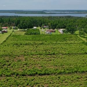 Photo #26 of SOLD property in Off Hwy 33, Hobucken, NC 28.6 acres