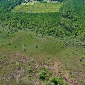 Photo #28 of SOLD property in Off Hwy 33, Hobucken, NC 28.6 acres