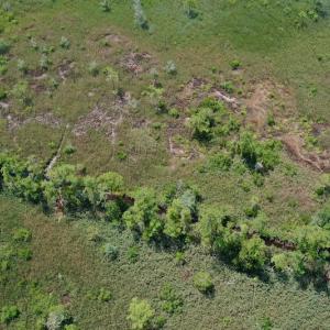 Photo #29 of SOLD property in Off Hwy 33, Hobucken, NC 28.6 acres