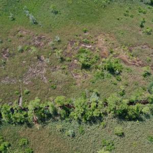 Photo #30 of SOLD property in Off Hwy 33, Hobucken, NC 28.6 acres