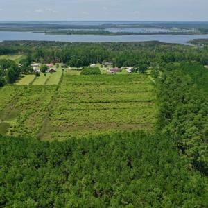 Photo #33 of SOLD property in Off Hwy 33, Hobucken, NC 28.6 acres