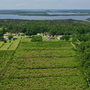Photo #34 of SOLD property in Off Hwy 33, Hobucken, NC 28.6 acres