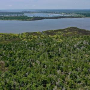 Photo #41 of SOLD property in Off Hwy 33, Hobucken, NC 28.6 acres