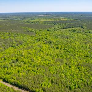 Photo #7 of SOLD property in Off Will Creek Road, Warrenton, NC 15.1 acres