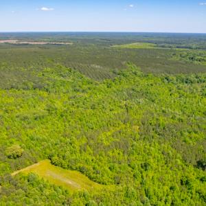 Photo #8 of SOLD property in Off Will Creek Road, Warrenton, NC 15.1 acres