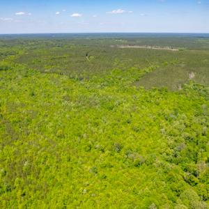 Photo #9 of SOLD property in Off Will Creek Road, Warrenton, NC 15.1 acres