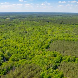 Photo #10 of SOLD property in Off Will Creek Road, Warrenton, NC 15.1 acres