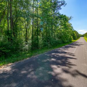 Photo #12 of SOLD property in Off Will Creek Road, Warrenton, NC 15.1 acres