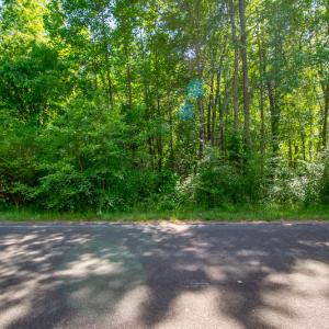 Photo #13 of SOLD property in Off Will Creek Road, Warrenton, NC 15.1 acres