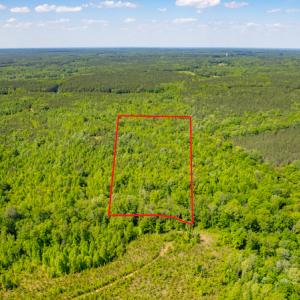 Photo #2 of SOLD property in Off Will Creek Road, Warrenton, NC 15.1 acres