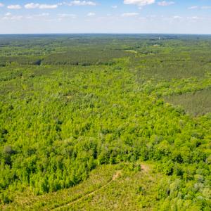 Photo #3 of SOLD property in Off Will Creek Road, Warrenton, NC 15.1 acres