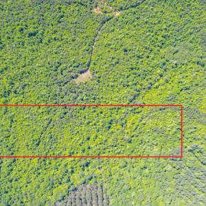 Photo #4 of SOLD property in Off Will Creek Road, Warrenton, NC 15.1 acres