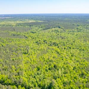 Photo #6 of SOLD property in Off Will Creek Road, Warrenton, NC 15.1 acres