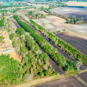 Photo #10 of SOLD property in Off Williams Road, Vanceboro, NC 6.1 acres