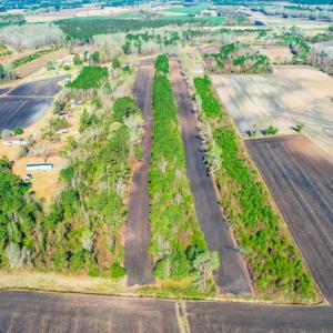 Photo #11 of SOLD property in Off Williams Road, Vanceboro, NC 6.1 acres