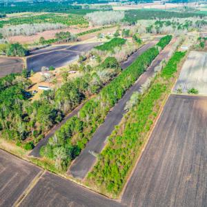 Photo #12 of SOLD property in Off Williams Road, Vanceboro, NC 6.1 acres