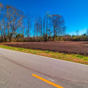 Photo #16 of SOLD property in Off Williams Road, Vanceboro, NC 6.1 acres