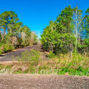 Photo #17 of SOLD property in Off Williams Road, Vanceboro, NC 6.1 acres
