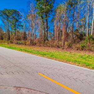 Photo #20 of SOLD property in Off Williams Road, Vanceboro, NC 6.1 acres