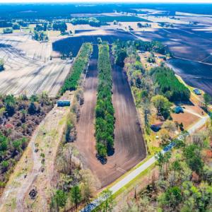 Photo #9 of SOLD property in Off Williams Road, Vanceboro, NC 6.1 acres