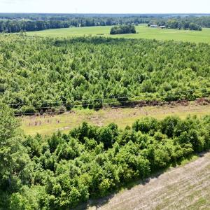 Photo #2 of SOLD property in Off Harding Lane, Chocowinity, NC 25.0 acres