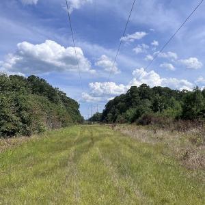 Photo #11 of SOLD property in Off Harding Lane, Chocowinity, NC 25.0 acres