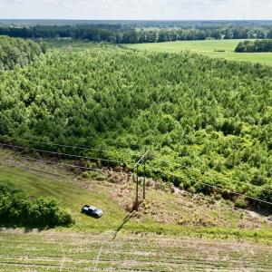 Photo #3 of SOLD property in Off Harding Lane, Chocowinity, NC 25.0 acres