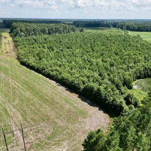 Photo #4 of SOLD property in Off Harding Lane, Chocowinity, NC 25.0 acres