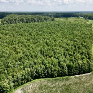 Photo #5 of SOLD property in Off Harding Lane, Chocowinity, NC 25.0 acres