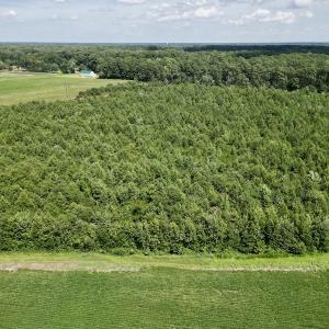 Photo #6 of SOLD property in Off Harding Lane, Chocowinity, NC 25.0 acres