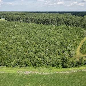 Photo #7 of SOLD property in Off Harding Lane, Chocowinity, NC 25.0 acres