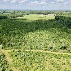 Photo #8 of SOLD property in Off Harding Lane, Chocowinity, NC 25.0 acres