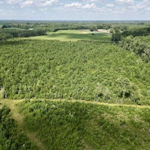 Photo #9 of SOLD property in Off Harding Lane, Chocowinity, NC 25.0 acres